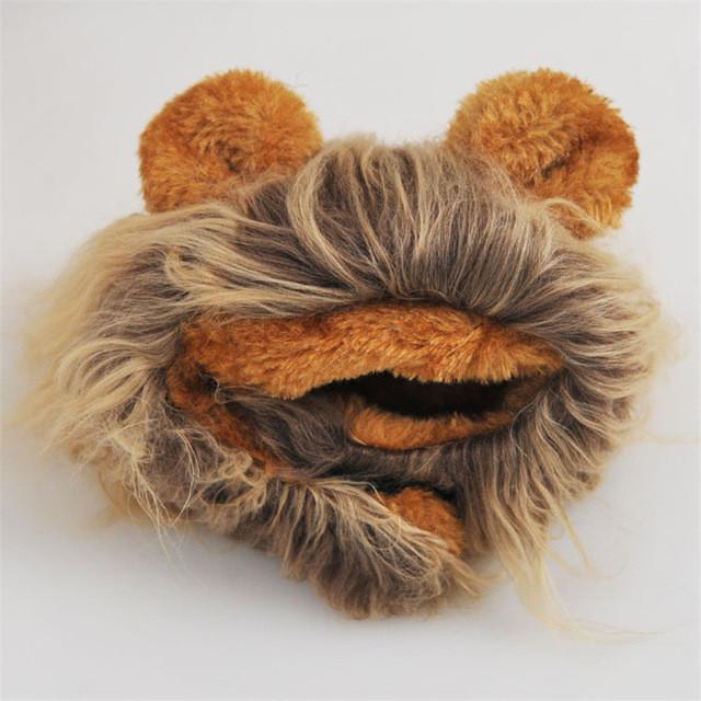 Cute "Tiny Lion" Mane