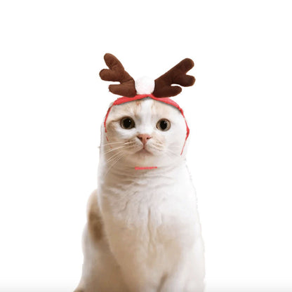 Cat Christmas Costumes