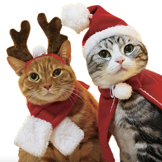 Cat Christmas Costumes